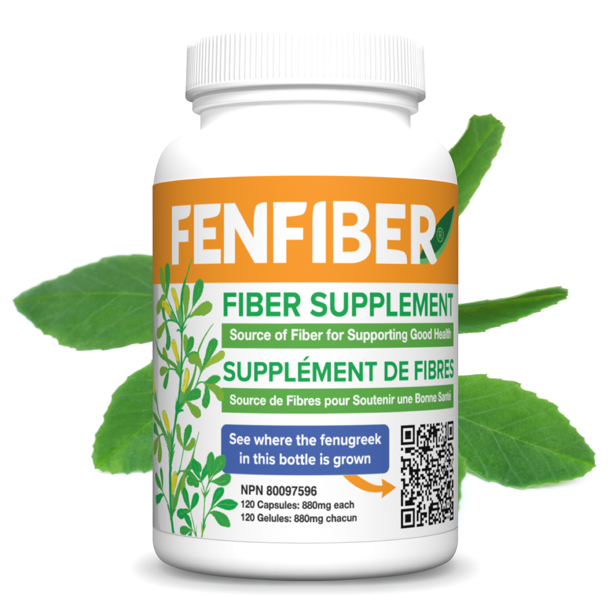 Fenfiber Fenugreek Supplement for Heartburn, GERD, Digestion