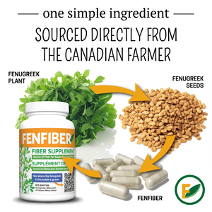 Fenfiber Fenugreek Fiber Supplement from Canadian grown Fenugreek seeds