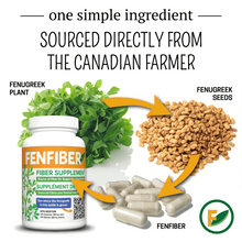 Fenfiber Fenugreek Fiber Supplement from Canadian-grown fenugreek seeds for digestive health in capsules